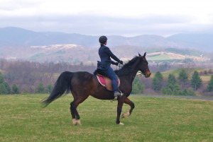 Female horse rider pictured from behind with rolling hills and mountains in distance