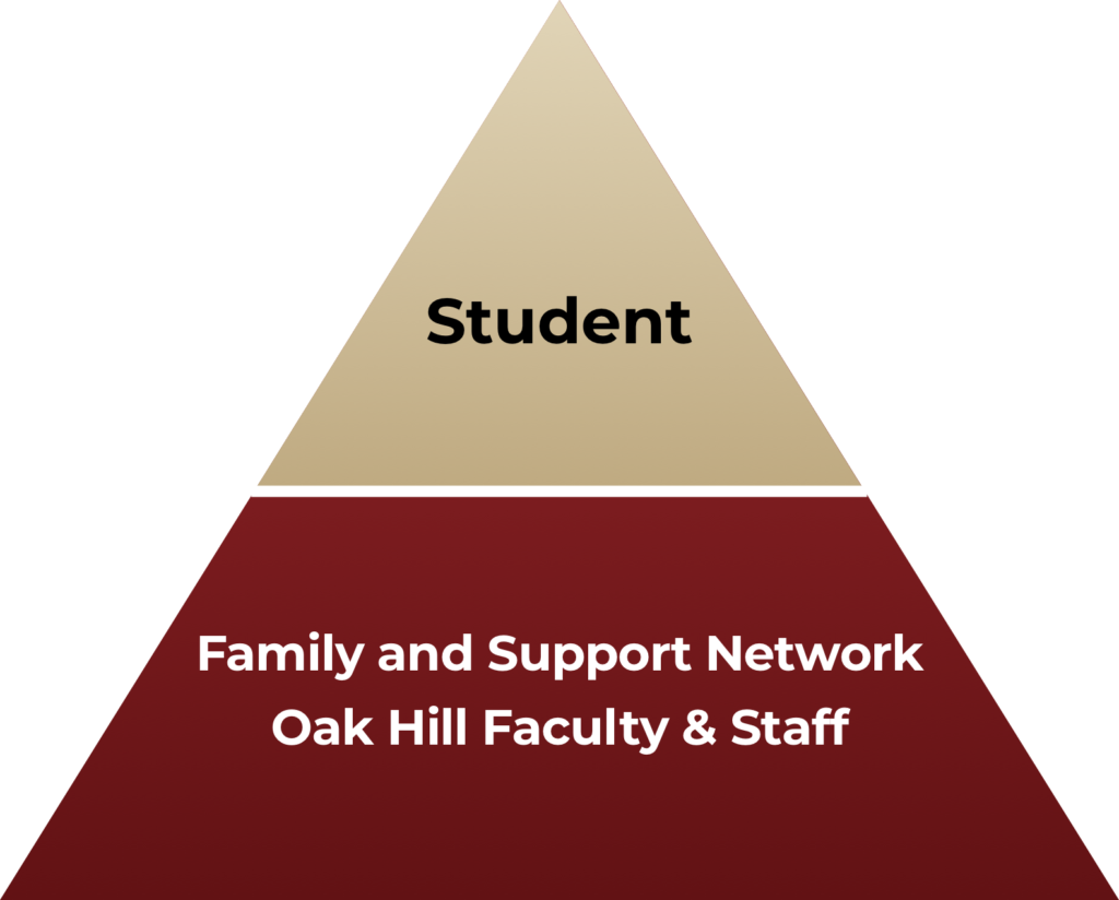 OHA triangle of relational approach